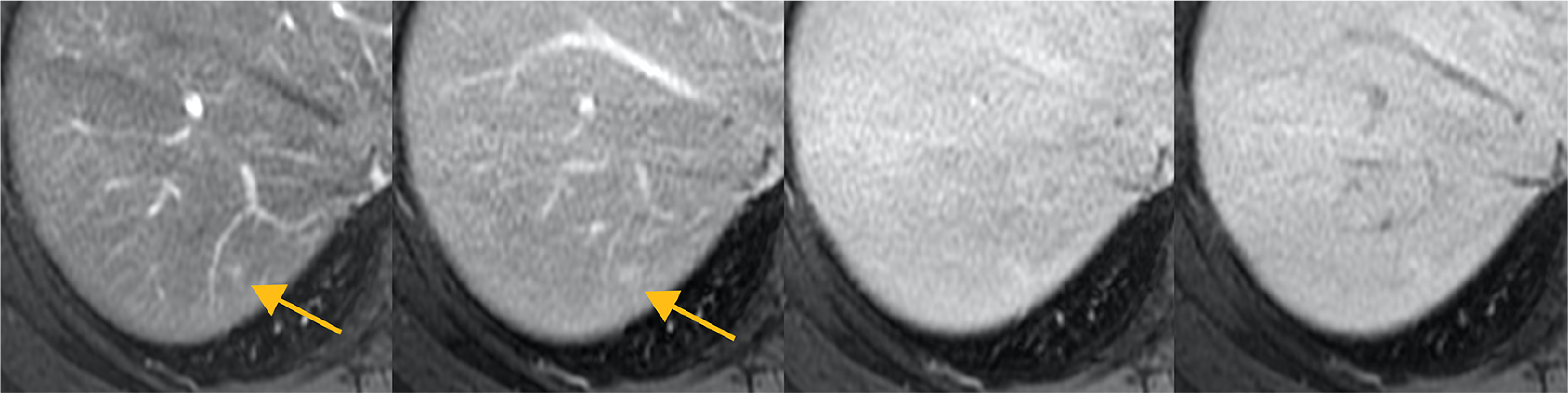 Fig. 4. Dynamic imaging